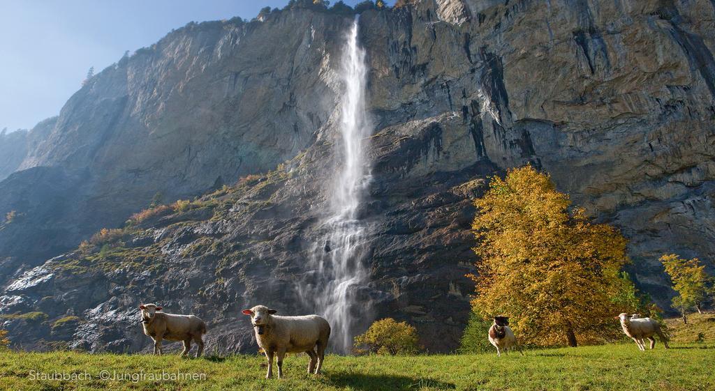 Camping Jungfrau Lauterbrunnen Exterior foto