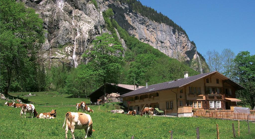 Camping Jungfrau Lauterbrunnen Exterior foto